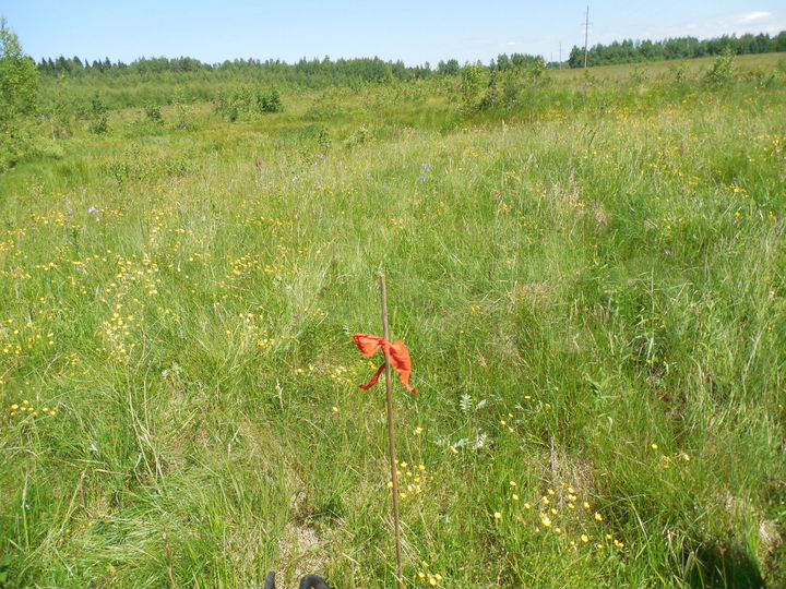 Участок 16 сот. (ИЖС)