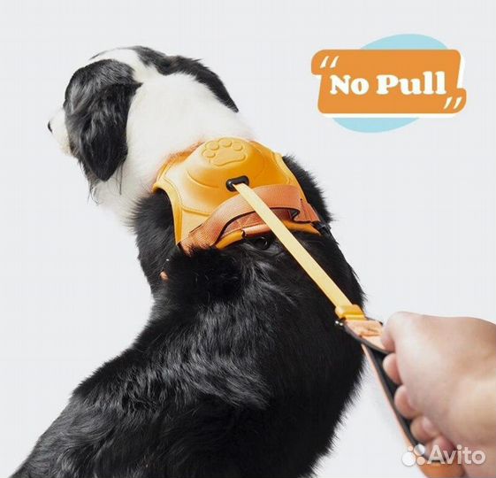 Шлейка для собак с встроенным поводком