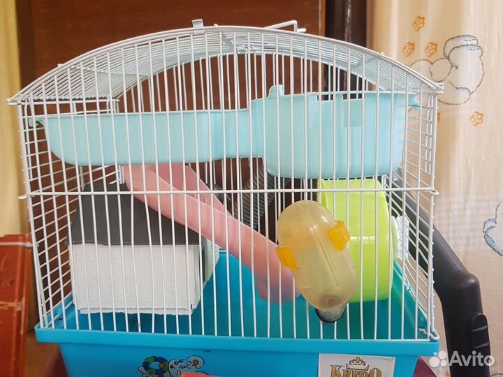 Клетка для джунгарского хомяка