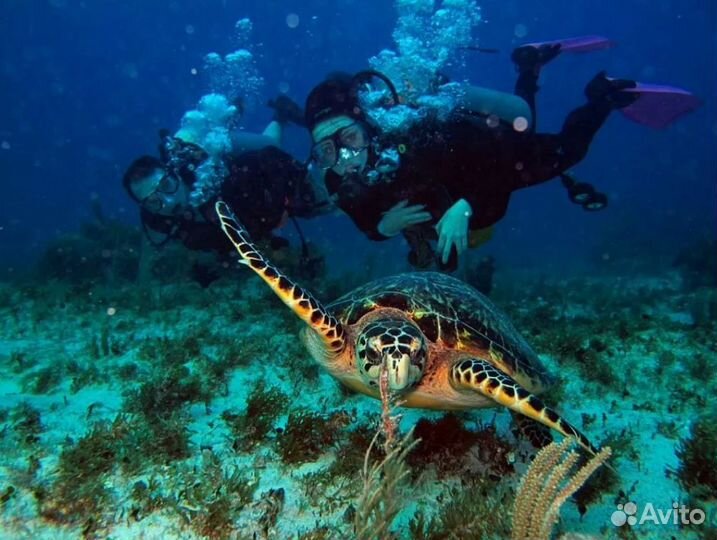 Тур в Турцию на 9 ночей отель 5*