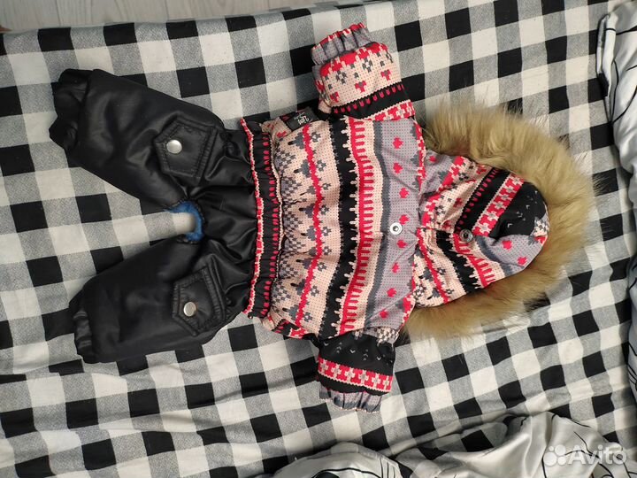 Комбинезон для маленькой собачки зима