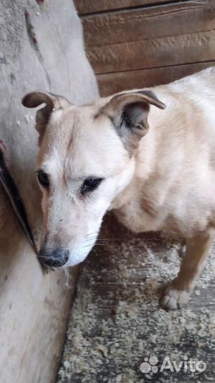 Жизнь почти закончена