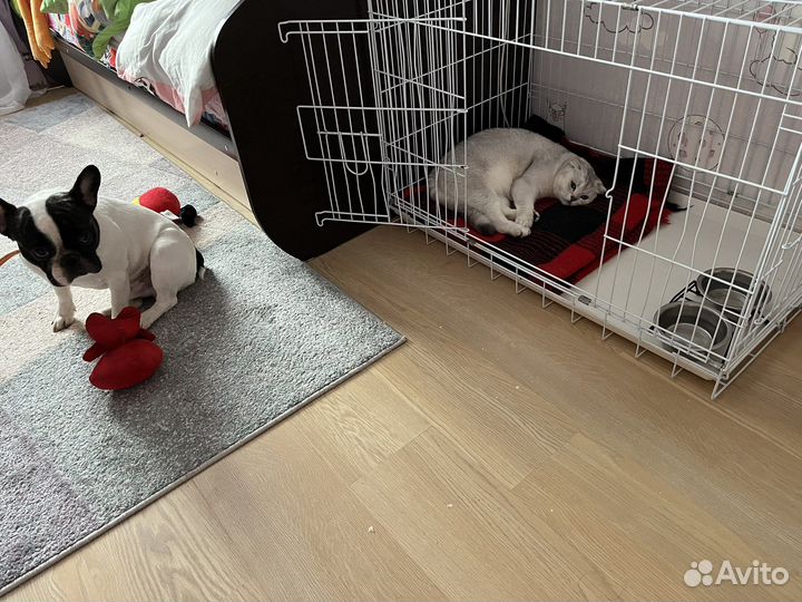 Вольер для собак в квартиру