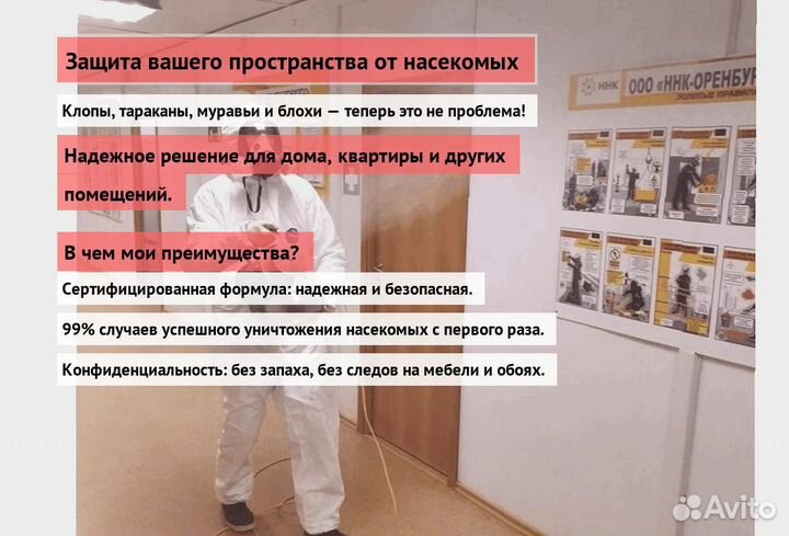 Средство против тараканов клопов