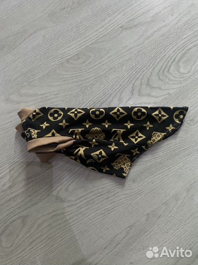 Одежда для кошек