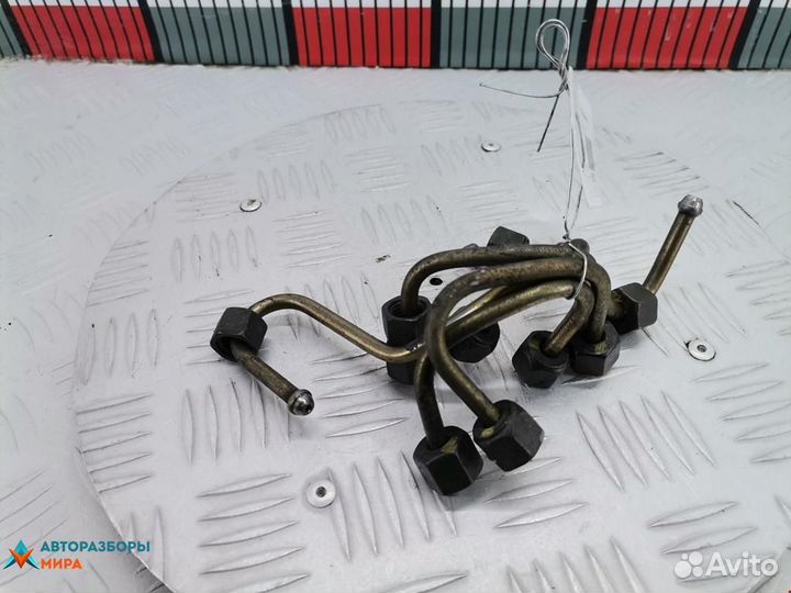 Трубка топливная Renault Laguna 2 2002 8200600509