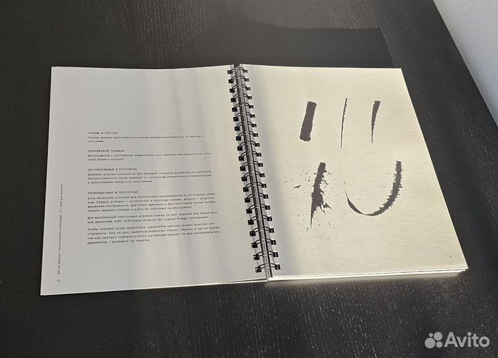 Фицнер Виктор Экспрессивная каллиграфия 20 стилей