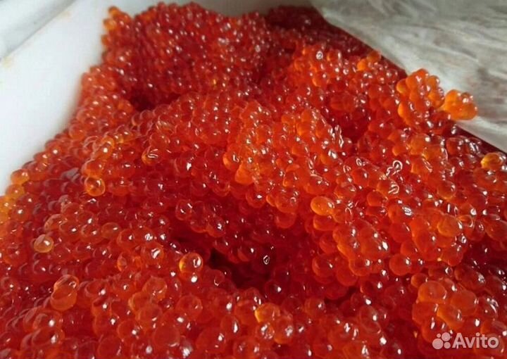 Красная икра август 2023 оптом и мелким оптом