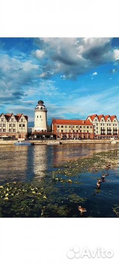 Сититур Калининград