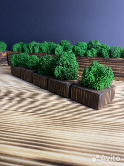 Декор (кашпо со мхом)