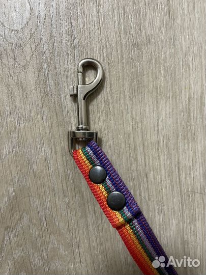 Поводок для собак