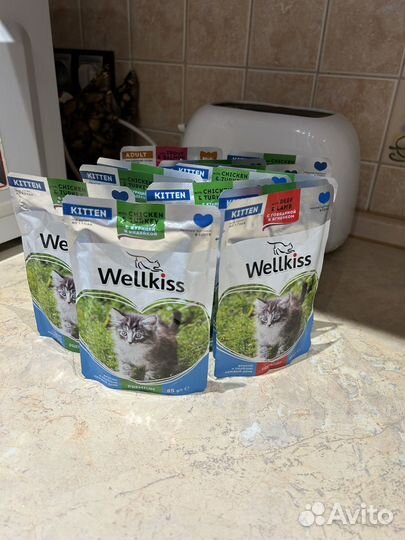 Корм для котят Wellkiss