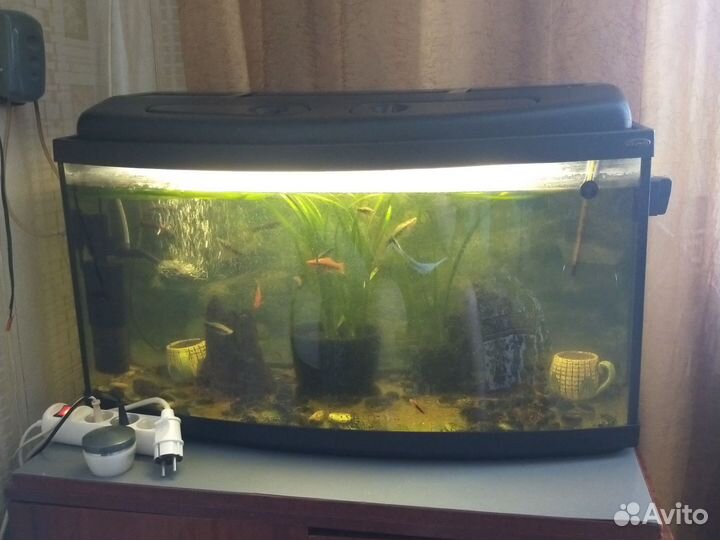 Аквариум с рыбками