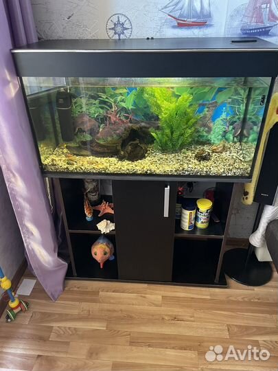 Аквариум
