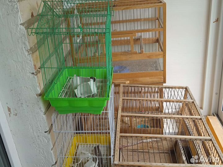 Большая клетка для птиц