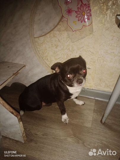 Мальчик ищет девочку