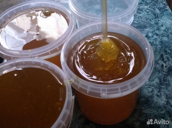 Мёд 2023,со своей пасеки