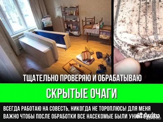 Уничтожение тараканов клопов Дезинфекция Травля