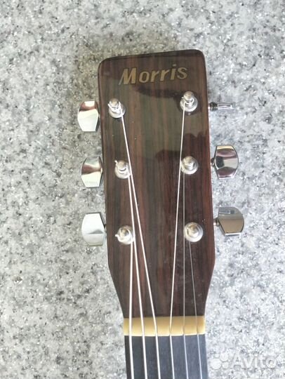 Morris MD-502. Акустическая гитара, Корея