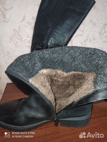 Сапоги