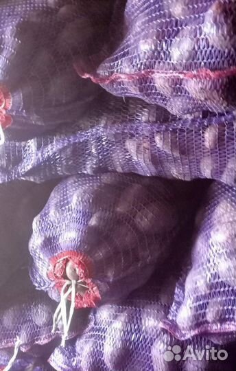 Картофель на еду