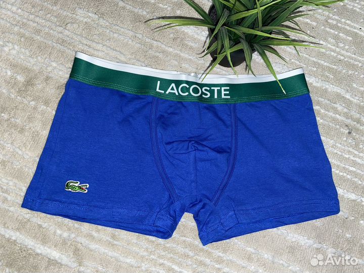 Боксеры lacoste