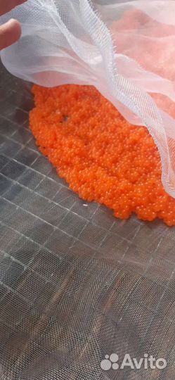 Икра горбуши