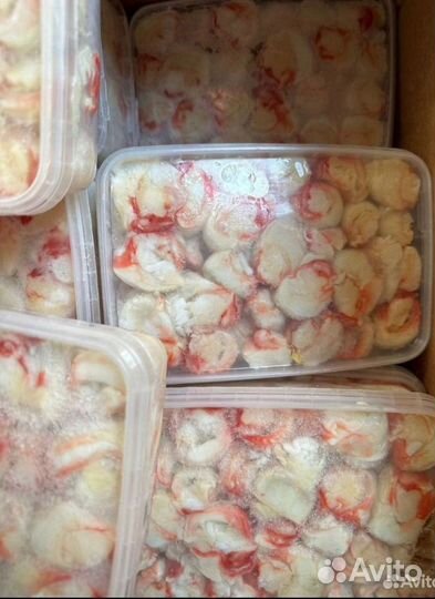 Роза Камчатского краба