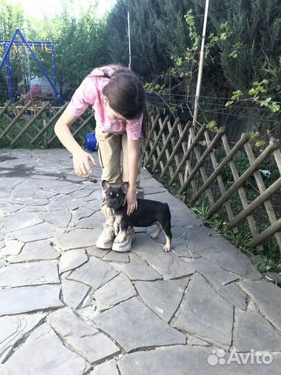 Француженка