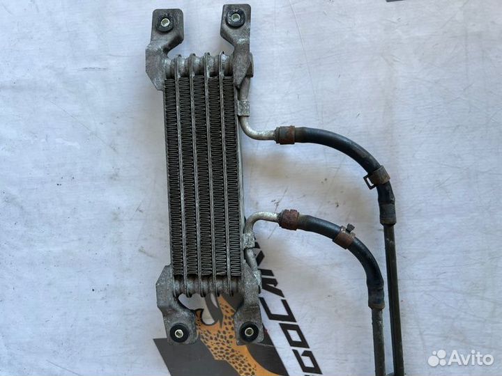 Радиатор масляный передний Ssangyong Korando D20T