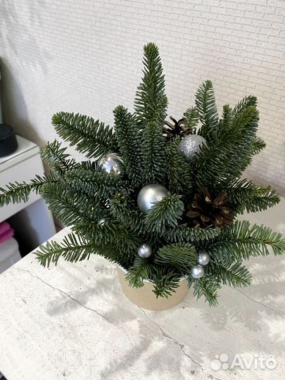 Ель букет из нобилиса