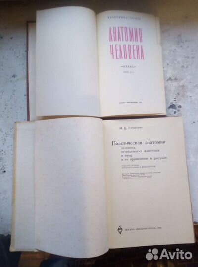 Пластическая анатомия человека и атлас