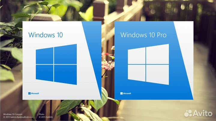 Windows 10/11 Pro