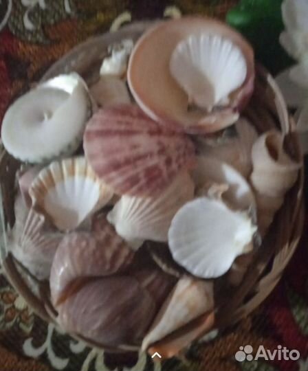 Аксессуары для аквариума