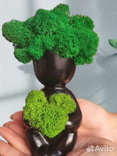 Стабилизированный мох - Экодизайн