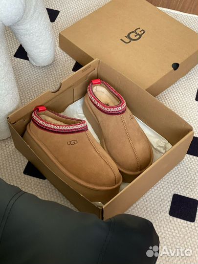 Угги Ugg tazz tasman