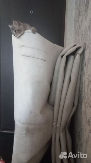 Ковролин бу