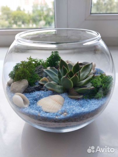 Флорариум - маленький кусочек природы