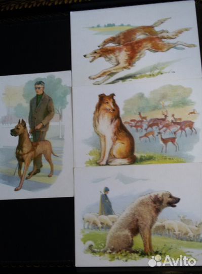 Открытки 16шт