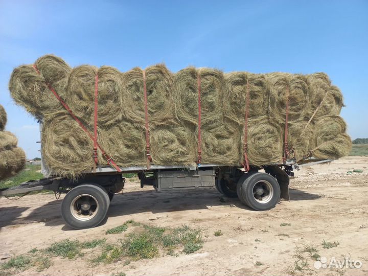 Сено в рулонах с доставкой