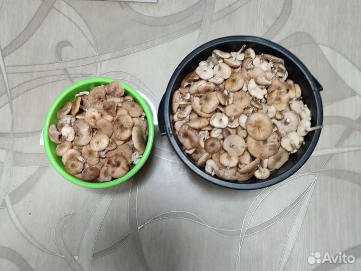 Зелёное ведро 5 литров. Черное 10 литров