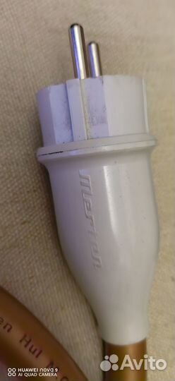 Van Den Hul M.C. The Mainstream Hybrid