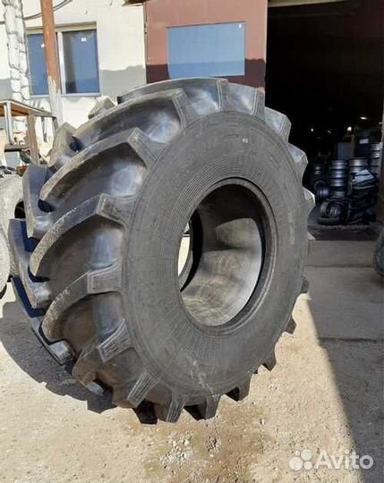 28LR26 165A8 Белшина Бел-83М TT