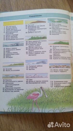 Детская энциклопедия, росмэн