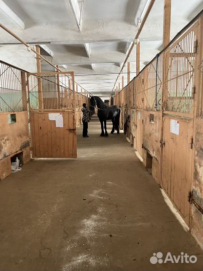 Постой для лошадей