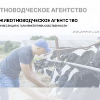 Животноводческое агентство в городе, Киев