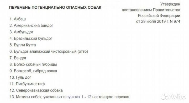 Выгул собак