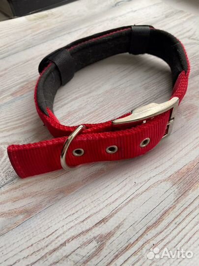 Ошейник для собак Ferplast daytona 47-55