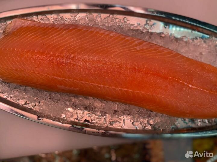 Лосось филе слабосолённый 2023г. Опт