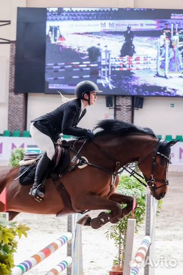 Продается кобыла 6 лет